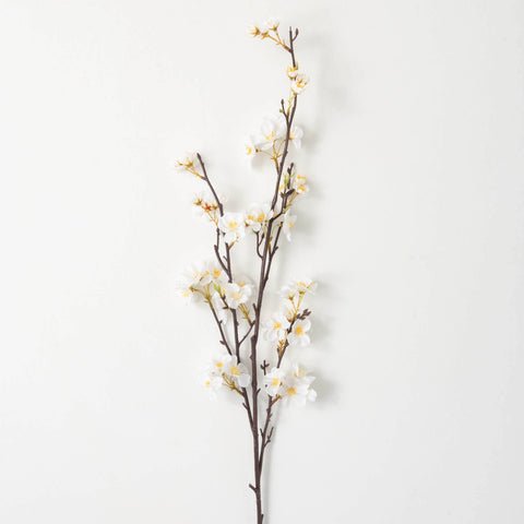 Elegant white apple blossom with yellow stamin spray
